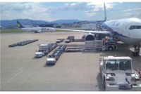 ���������ۺ��Զ����������